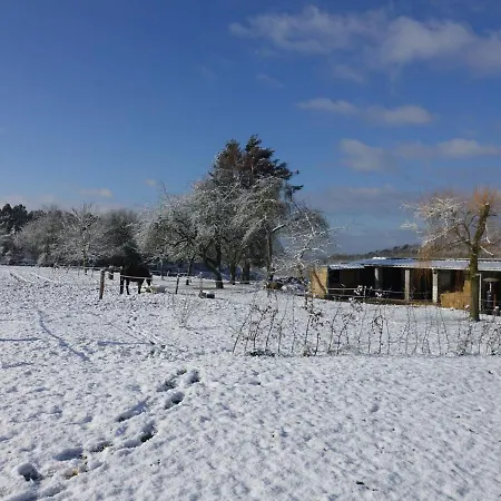 Modern In Rochefort Close To The Horses * Wavreille