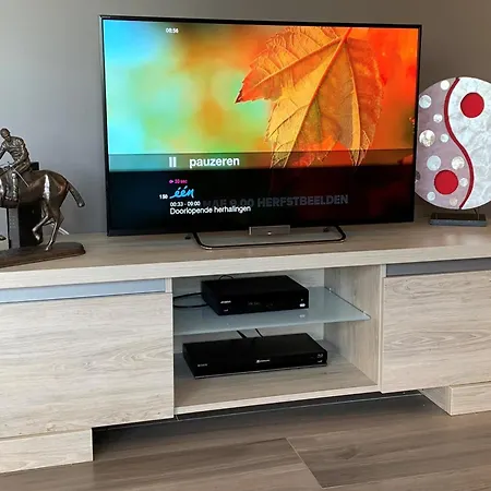 Modern In Rochefort Close To The Horses Wavreille