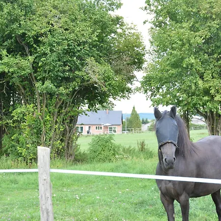 ヴィラ Modern In Rochefort Close To The Horses Wavreille