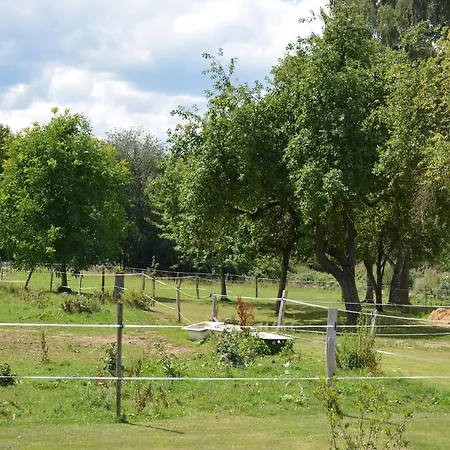 Modern In Rochefort Close To The Horses