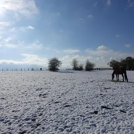 Willa Modern In Rochefort Close To The Horses Wavreille