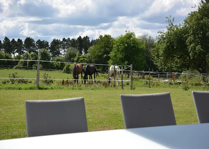 Modern In Rochefort Close To The Horses Villa *