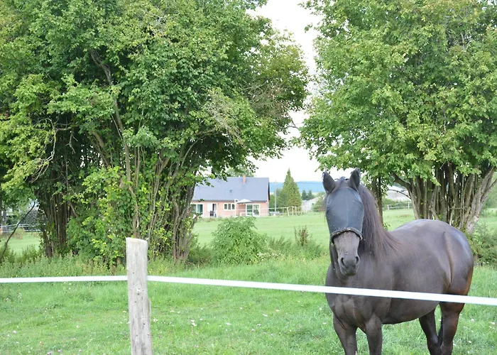 Villa Modern In Rochefort Close To The Horses Wavreille