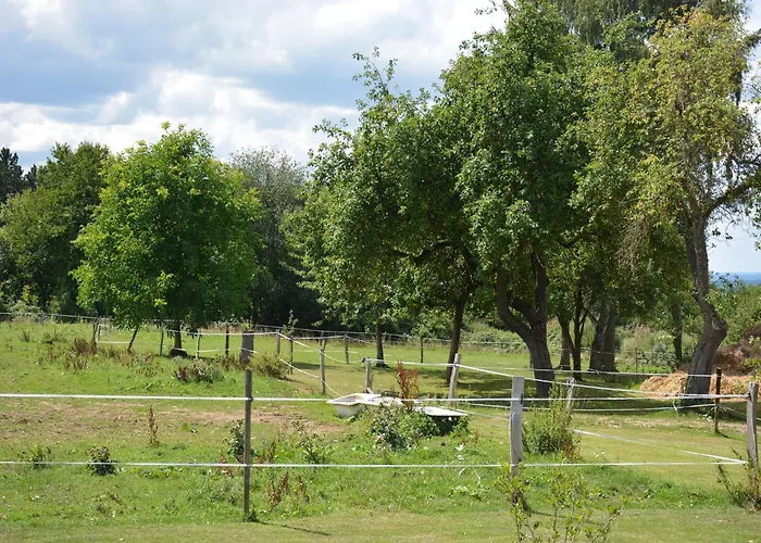Modern In Rochefort Close To The Horses