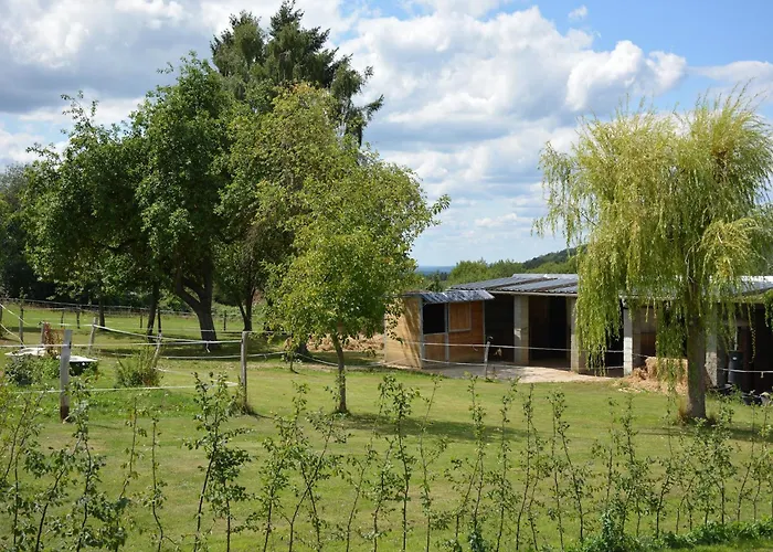 Modern In Rochefort Close To The Horses Villa