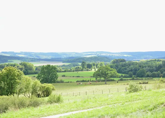 Villa Modern In Rochefort Close To The Horses