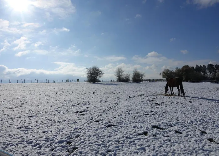 Villa Modern In Rochefort Close To The Horses Wavreille