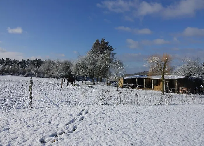 Modern In Rochefort Close To The Horses Villa